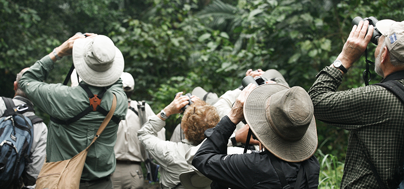 Group cover image